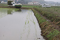 Img_1737