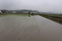 Img_1741