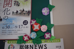 Photo_7