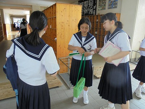 Sdsc08744