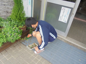 Dsc02065