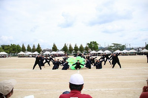 Img_3948