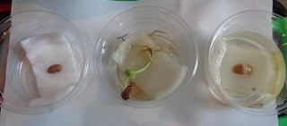 Photo_12