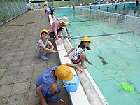 Dscn2615