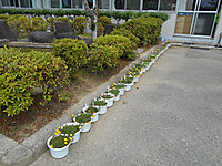 Dscn2616