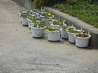 Dscn2617