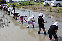 Img_5617