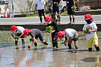 Img_5621