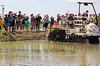 Img_5673
