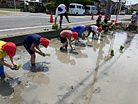 Img_8772