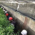 P1746142603162