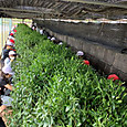 P1746142609261