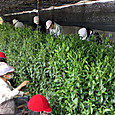 P1746142614949