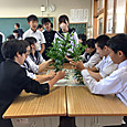 P1746658086690