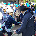 P1747095123816