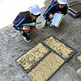 P1747096109248