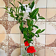 P1747098791056