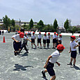 P1747189697774