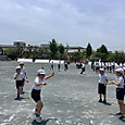 P1747189779424