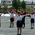 P1747191480583