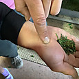 P1747192706901