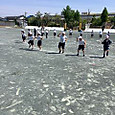P1747198895233