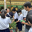 P1747210026126