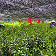 P1747215422470