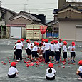 P1747615881636