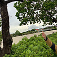 P1747876003254