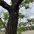P1747876008648