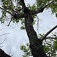P1747876014000