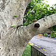 P1747876020666