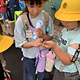 P1747876028907