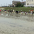 P1748318536117