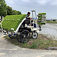 P1748318545831