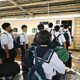 P1748416717203