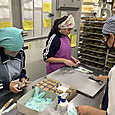 P1748490203125