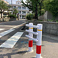 P1749018726928