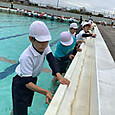 P1749707056468