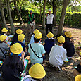 P1750049946361