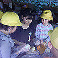 Img_0877