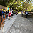 P1750316777852