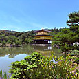 P1750395431283