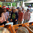 P1750829016622