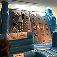 P1757221437626