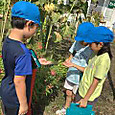 P1757327013670