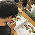 P1757327024516