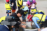 Photo_2