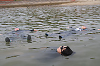 Img_6492